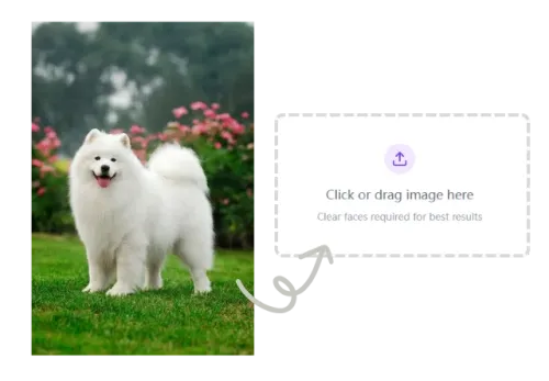 1.Upload a Photo of Your Pet