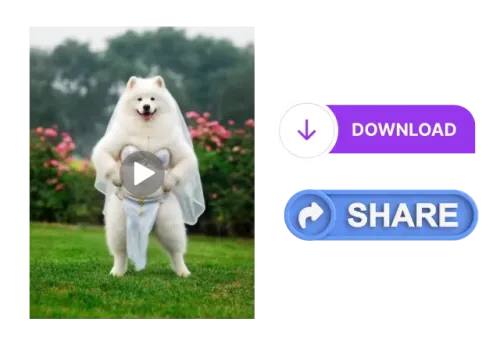 3.Download and Share the Fun