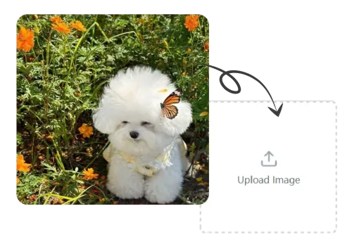 Step 1. Upload Your Photo