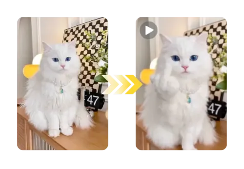 Apply the AI Finger Filter