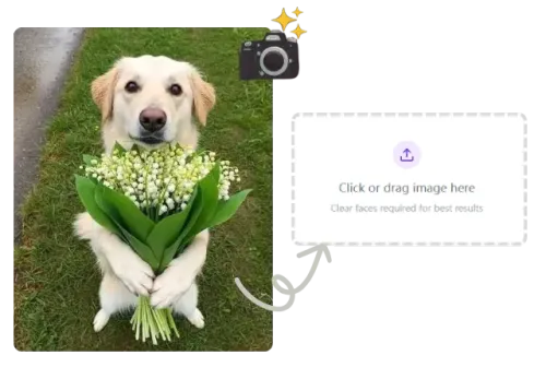 1. Upload a Photo
