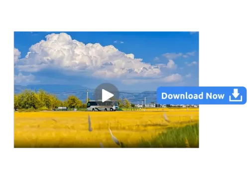 Step 3: Preview and Download