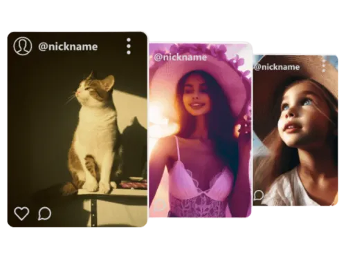 Instagram Video Downloader