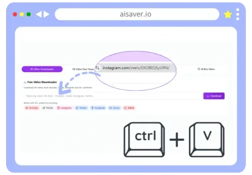 Step 2: Paste URL into Instagram video donwloader