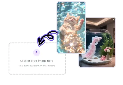 Upload Your Images