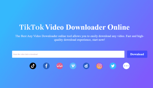 TikTok Video Downloader Online