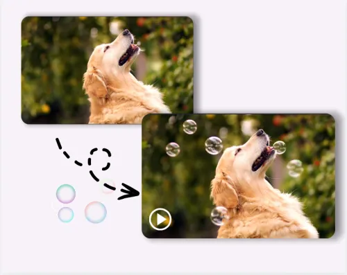 Enhance A Scene With AI-Generated Video Effects