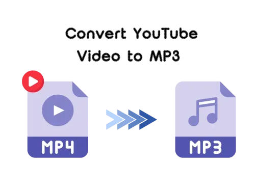 Support for Learning and Language Translation Needs