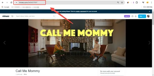 any video downloader
