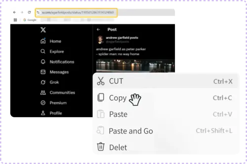 Copy any video's link
