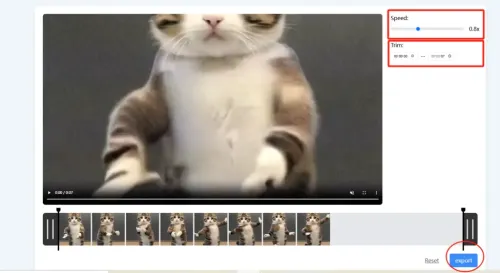 Choose Your Settings