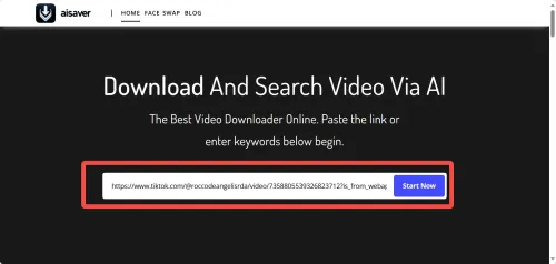 tiktok video downloader extension